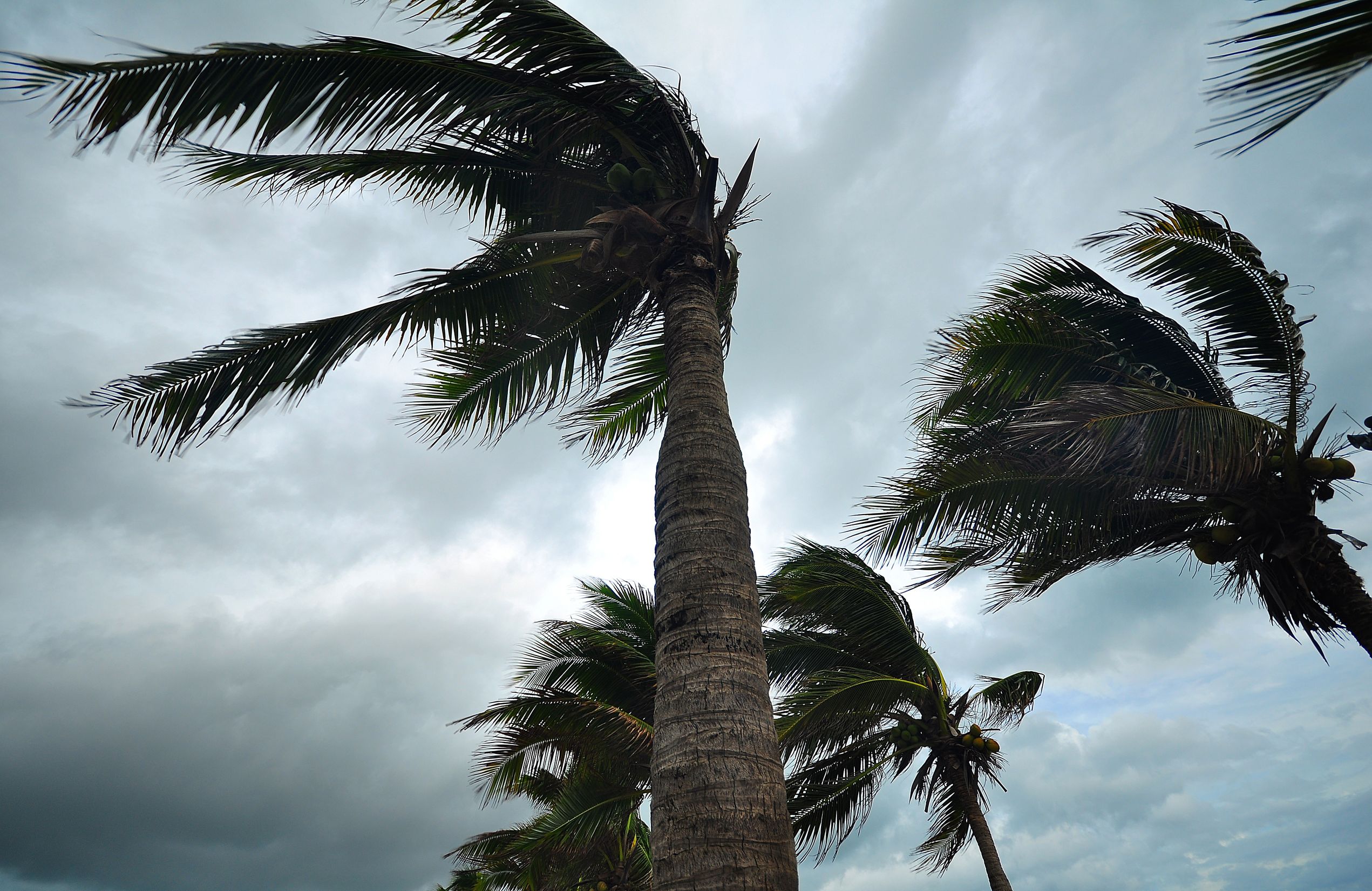Protect Your Property During High Wind Storms