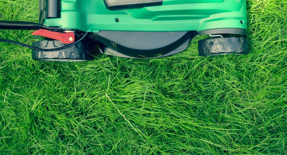 The Ultimate Guide to Eco-Friendly Lawn Care
