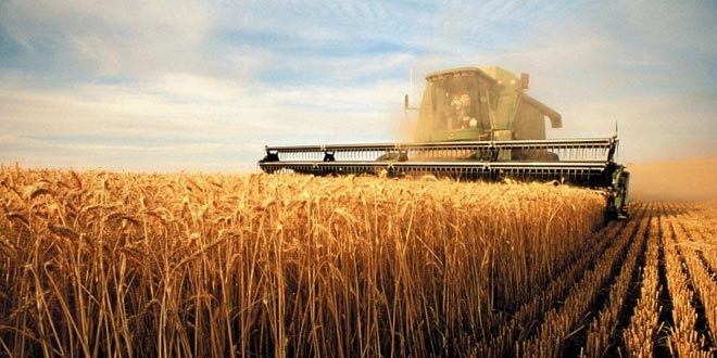 The Role of Up-To-Date Grain Cleaners in the US Agricultural Sector